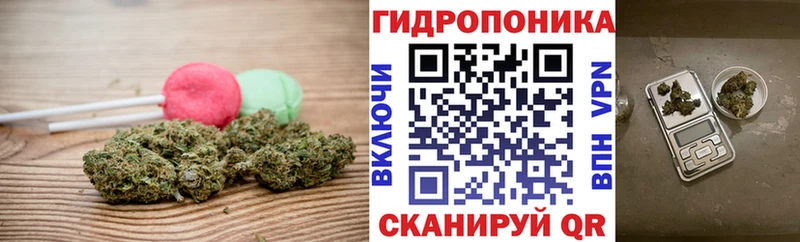 Canna-Cookies конопля  купить наркотик  Приозерск 