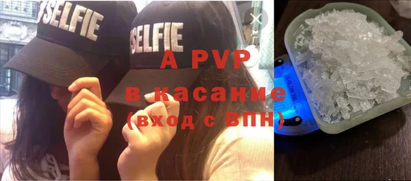 шишки Арсеньев