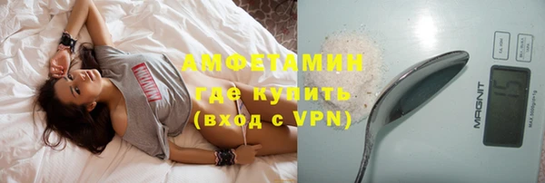 шишки Арсеньев