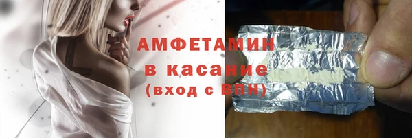 шишки Арсеньев