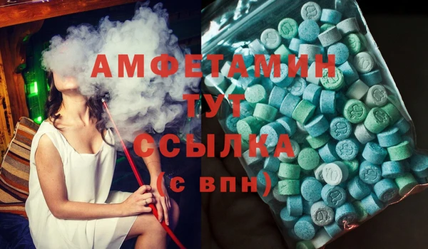 шишки Арсеньев