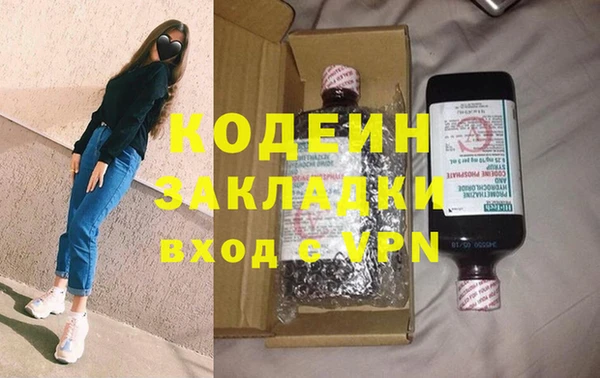шишки Арсеньев