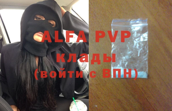 шишки Арсеньев