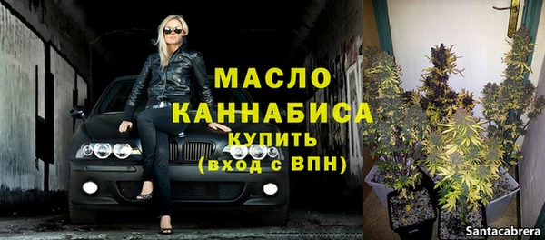 шишки Арсеньев