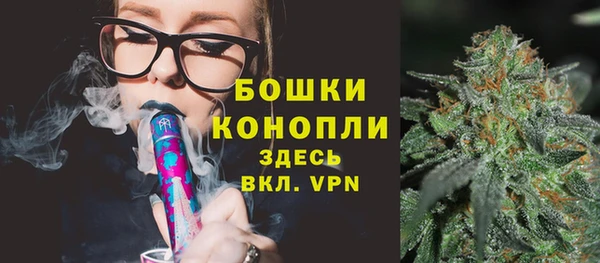 шишки Арсеньев