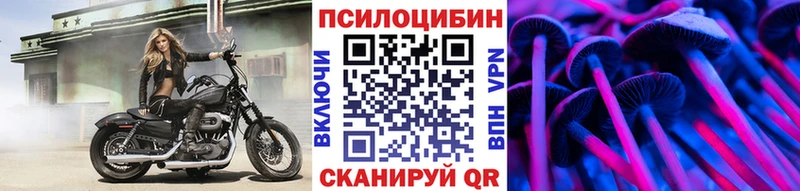 Галлюциногенные грибы прущие грибы  где купить   Приозерск 